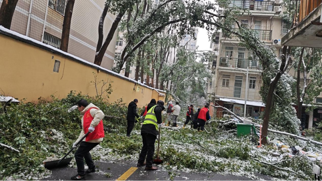 BG大游(中国)唯一官方网站