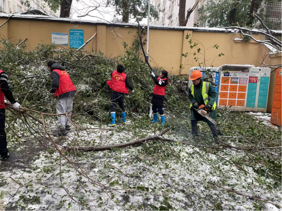BG大游(中国)唯一官方网站
