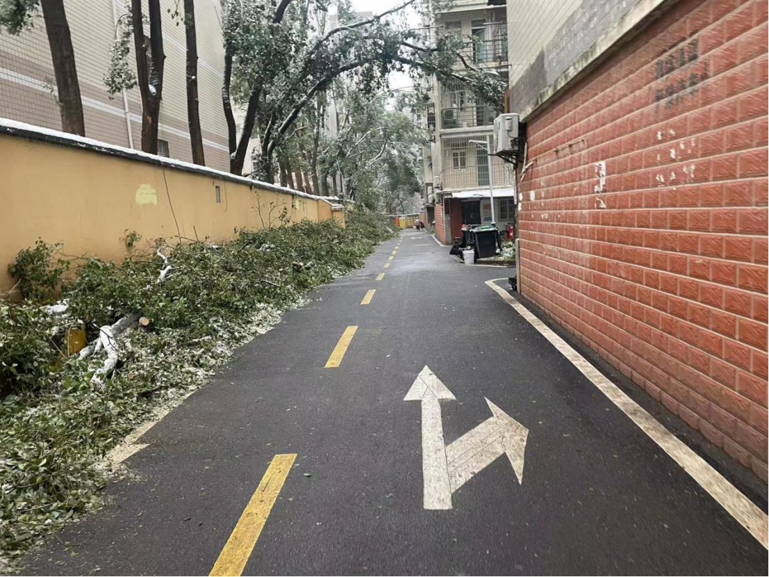 BG大游(中国)唯一官方网站