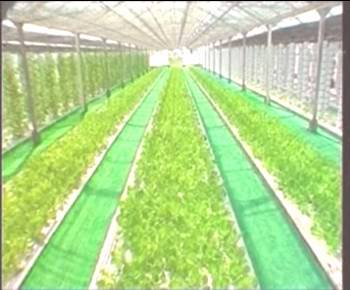 BG大游(中国)唯一官方网站