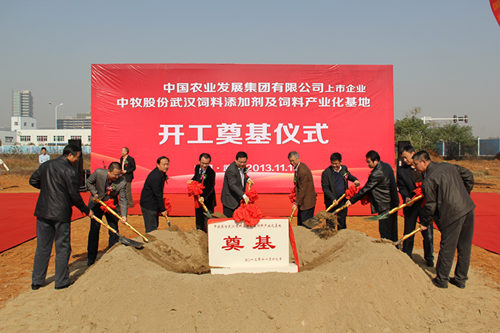 BG大游(中国)唯一官方网站