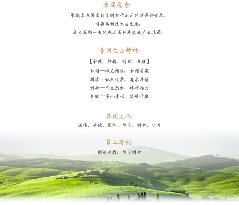 BG大游(中国)唯一官方网站