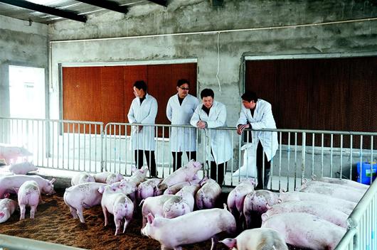 BG大游(中国)唯一官方网站