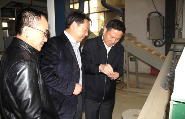 BG大游(中国)唯一官方网站