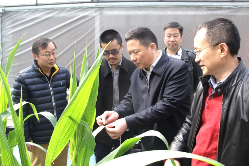 BG大游(中国)唯一官方网站