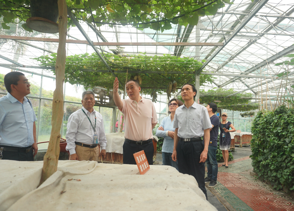 BG大游(中国)唯一官方网站