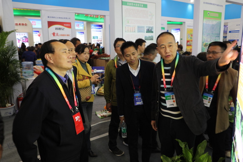 BG大游(中国)唯一官方网站