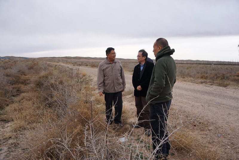 BG大游(中国)唯一官方网站