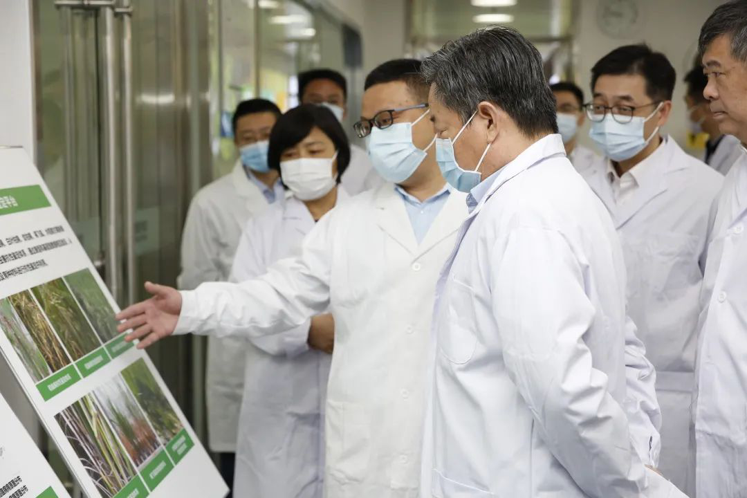 BG大游(中国)唯一官方网站